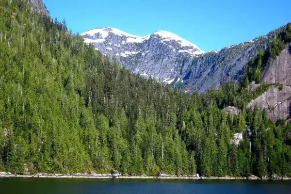 Discovery Channel Star Matt Brown Found Deceased in Washington State River
