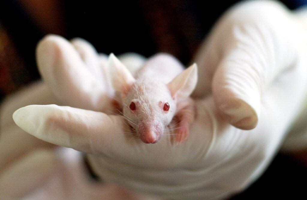 Nature Medicine Retracts Controversial Study on Circadian Cancer Therapy
