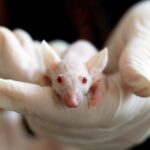 Nature Medicine Retracts Controversial Study on Circadian Cancer Therapy