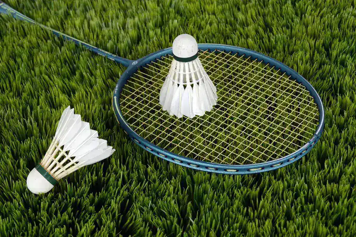 Prakash Padukone Proposes Multi-Format Strategy for Modern Badminton
