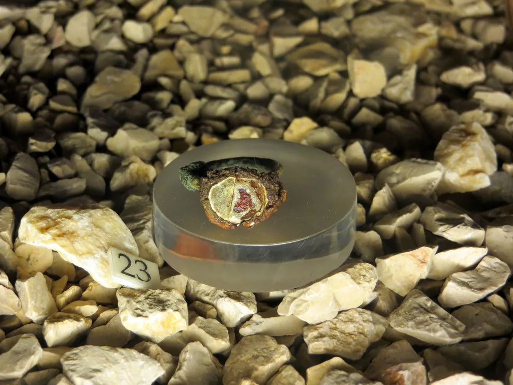 Rare Roman-Era Gold Ring Fetches Over $100,000 at Auction