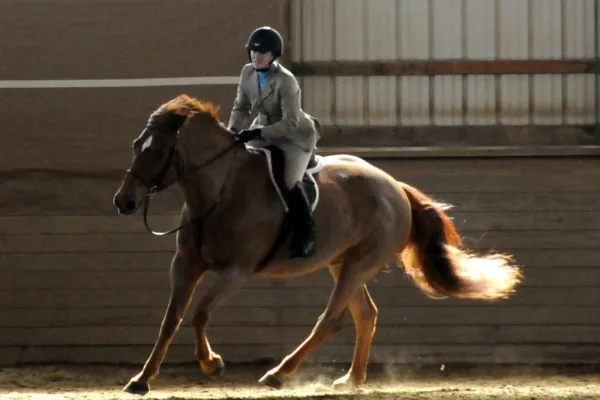 Rising Stars Shine at Elite Equestrian Showcase