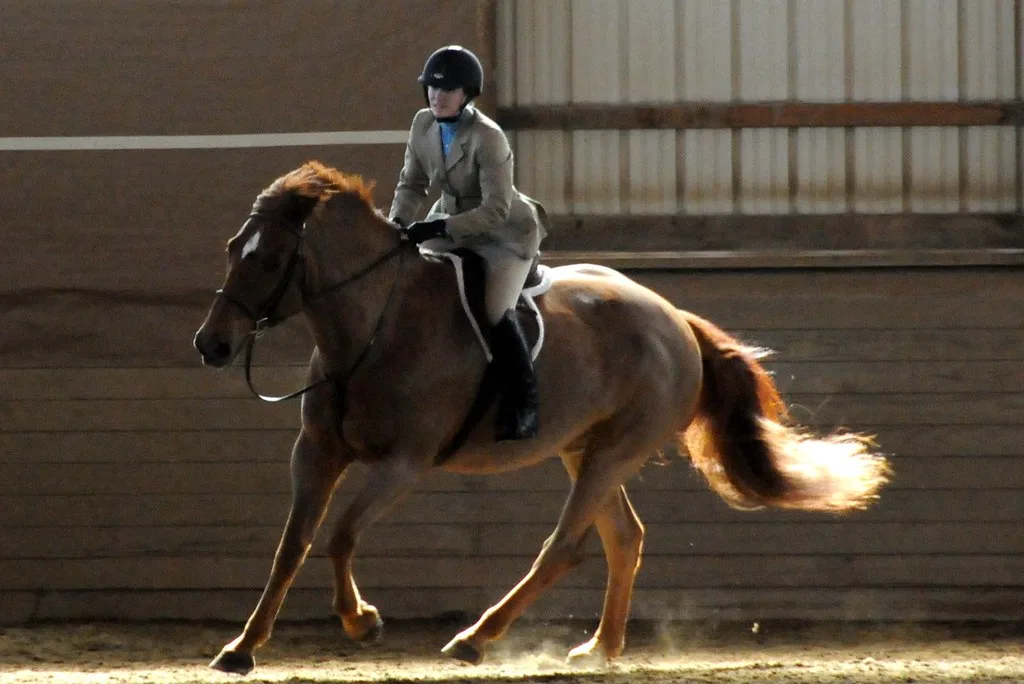 Rising Stars Shine at Elite Equestrian Showcase