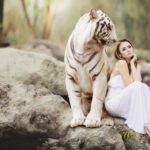 SIT Formed to Probe Dudhwa Tigress Death as NTCA Demands Accountability