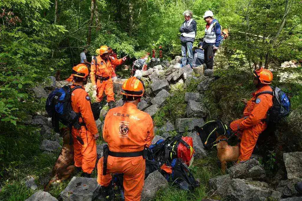 Search Operations Expand in Mexico Following Anonymous Tip Regarding Missing Nancy Guthrie
