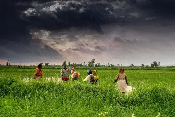 Southwest Monsoon Advances Across India as Heavy Rainfall Alerts Issued