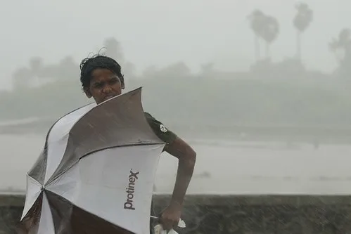 Southwest Monsoon Advances Across India as IMD Issues Widespread Rainfall Alerts