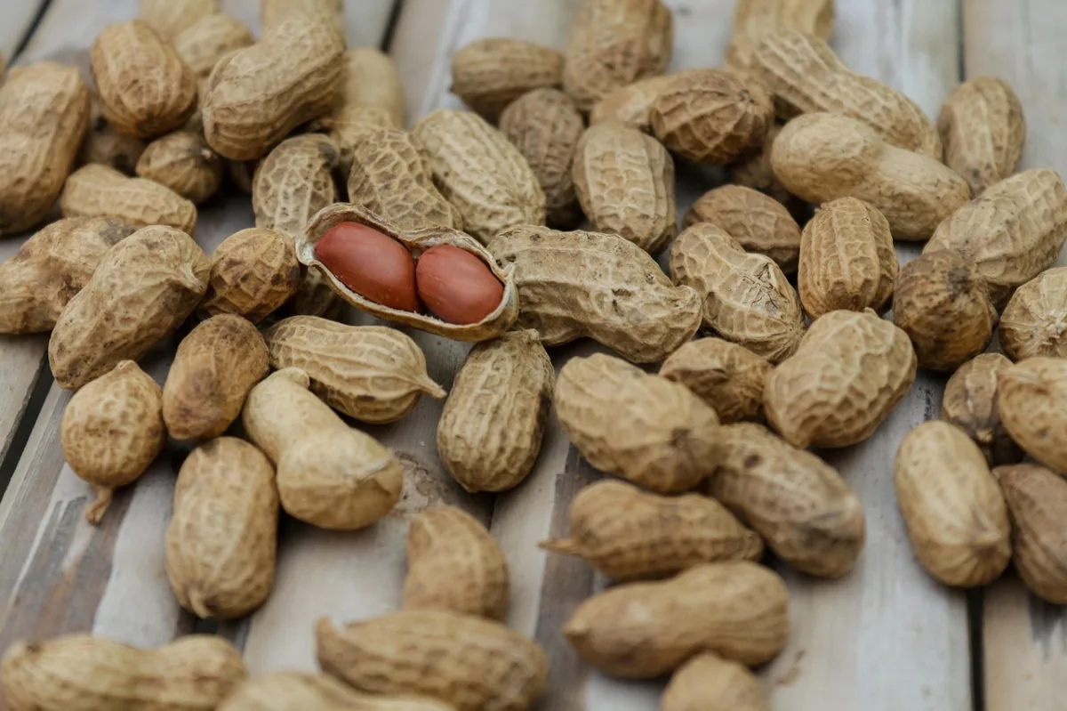 The Great Protein Debate: India's Nutritional Identity Crisis