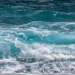 U.S. Navy Employee Critically Injured in Rare Shark Attack at Panama City Base