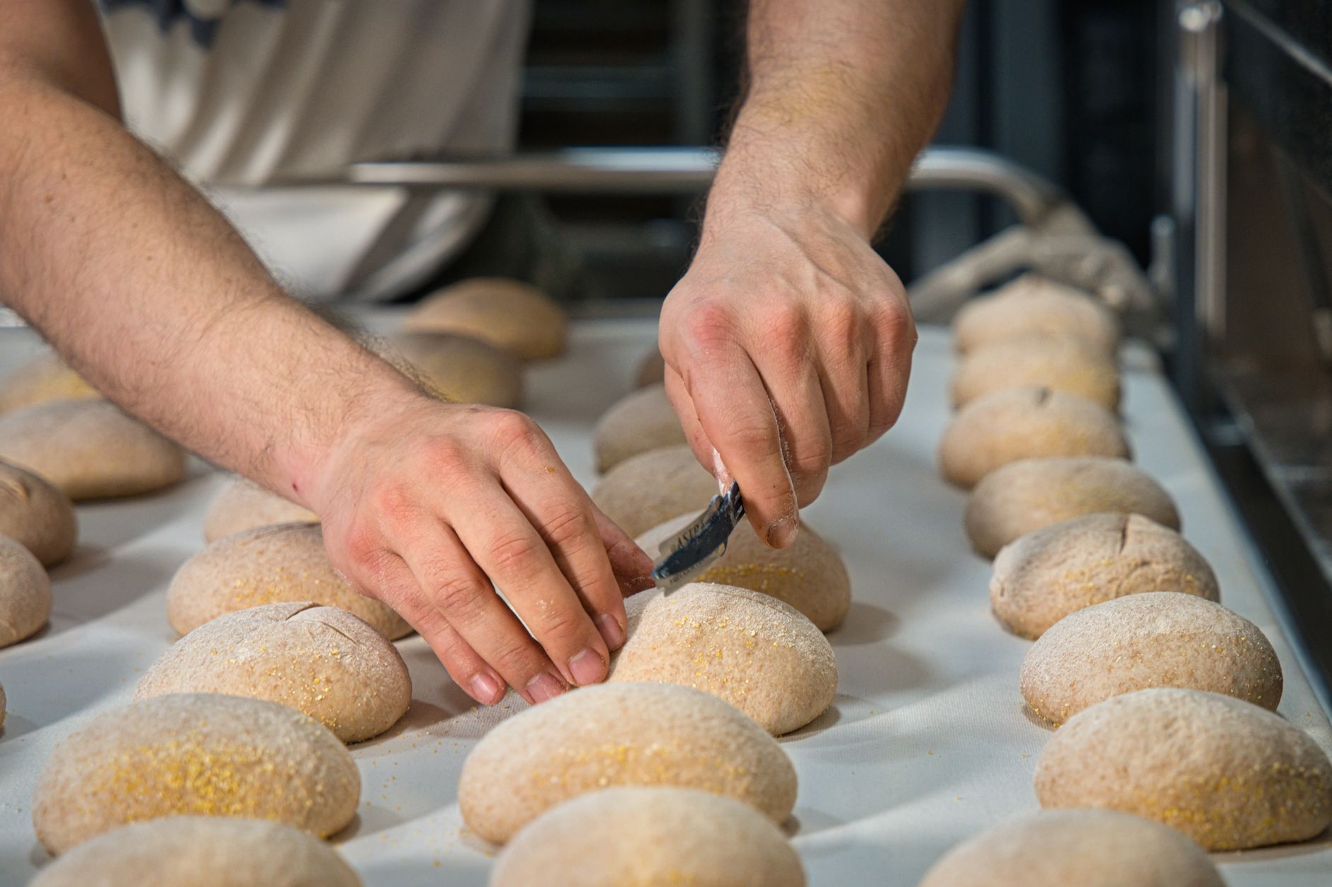 Bakeshop of Belonging: Inside Hyderabad's Cloud Kitchen Empowering Autistic Youth
