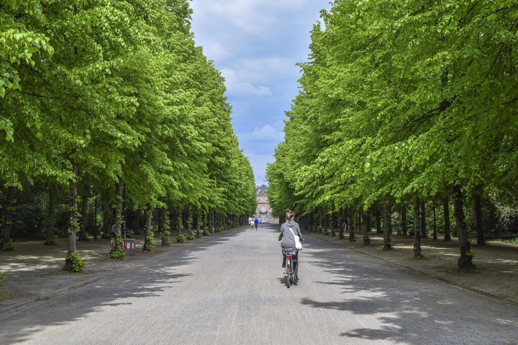 Cubbon Park: Examining the Future of Bengaluru's Green Heart