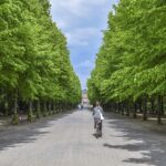 Cubbon Park: Examining the Future of Bengaluru's Green Heart
