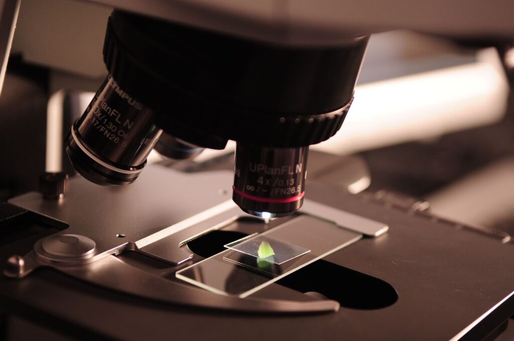 Cyclosporiasis Outbreak Spikes in Michigan: What You Need to Know