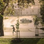 Extreme Weather Challenges Independence Day Celebrations Across the United States