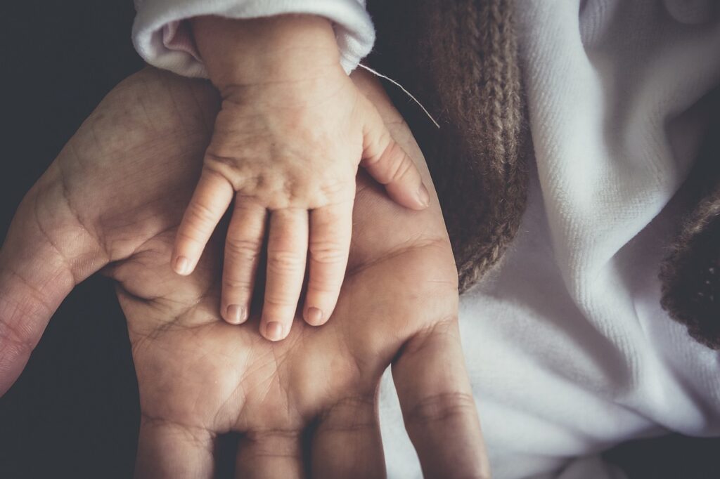 Federal Scrutiny Intensifies Over Proliferation of Adult Day Care Centers in New York City