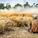 From Roadside Stalls to Global Markets: The Rise of Meghalaya's Organic Farmers