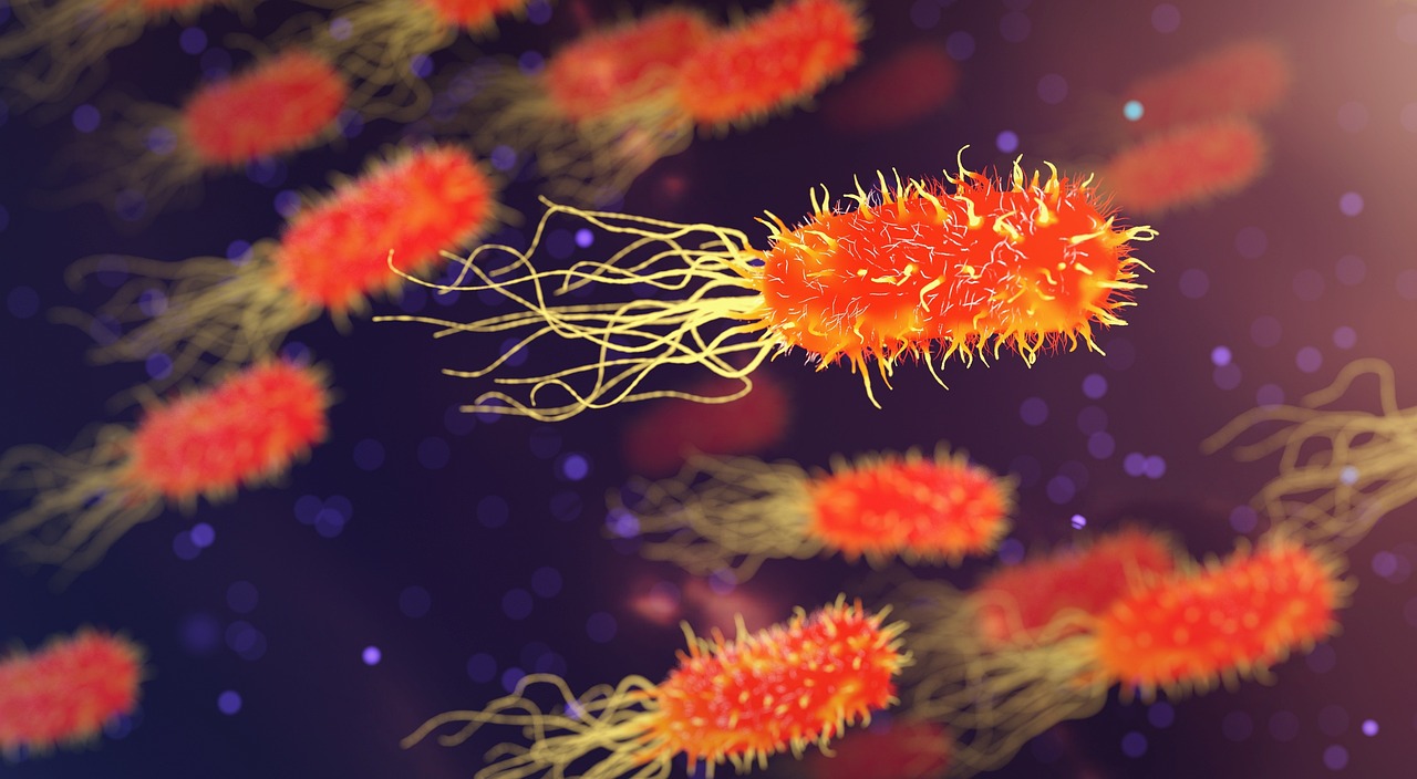 Genomic Medicine's Blind Spot: How Biased Data Threatens Global Health Equity
