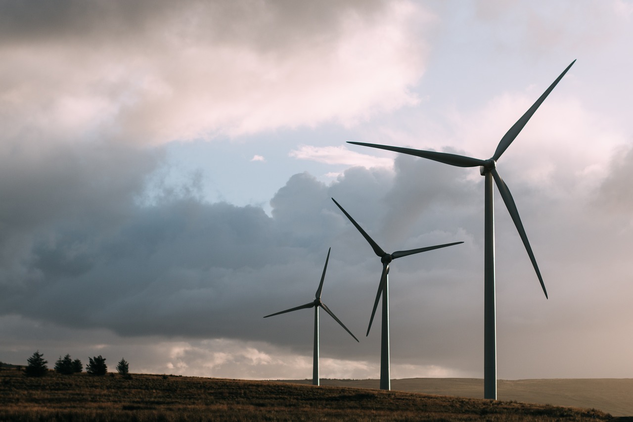 India's Green Transition Faces Hurdles Without Long-Duration Energy Storage