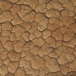 Karnataka Initiates Rapid 15-Day Survey to Document Severe Drought Across 178 Taluks