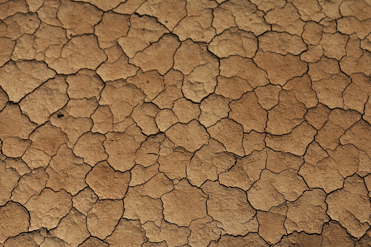 Karnataka Initiates Rapid 15-Day Survey to Document Severe Drought Across 178 Taluks