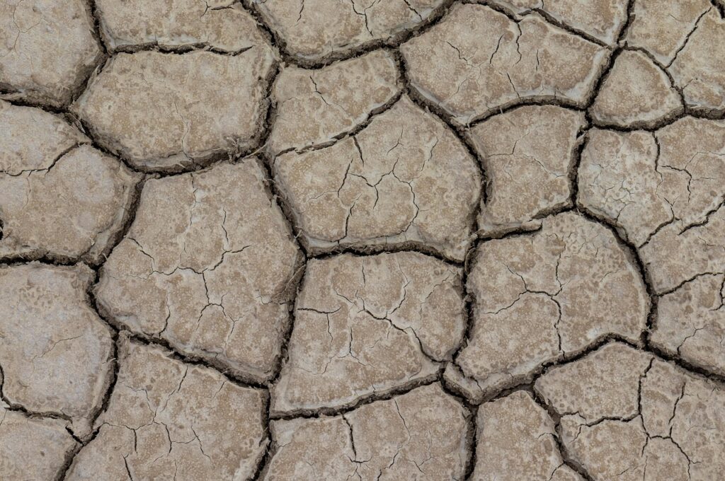 Koppal Braces for Water Scarcity Amid Severe Rainfall Deficit