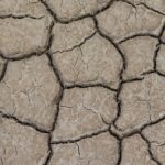 Koppal Braces for Water Scarcity Amid Severe Rainfall Deficit