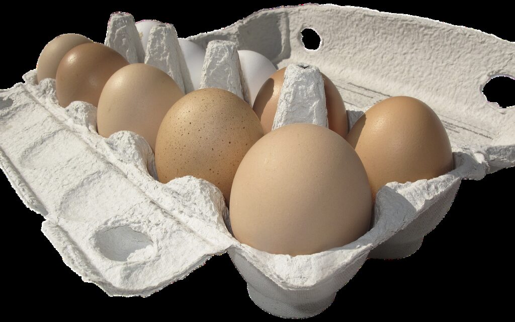 Millions of Egg Cartons Recalled Across Six States Due to Potential Salmonella Contamination