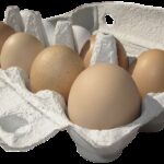 Millions of Egg Cartons Recalled Across Six States Due to Potential Salmonella Contamination