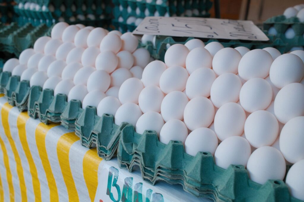 Multi-State Egg Recall Triggered Over Potential Salmonella Contamination