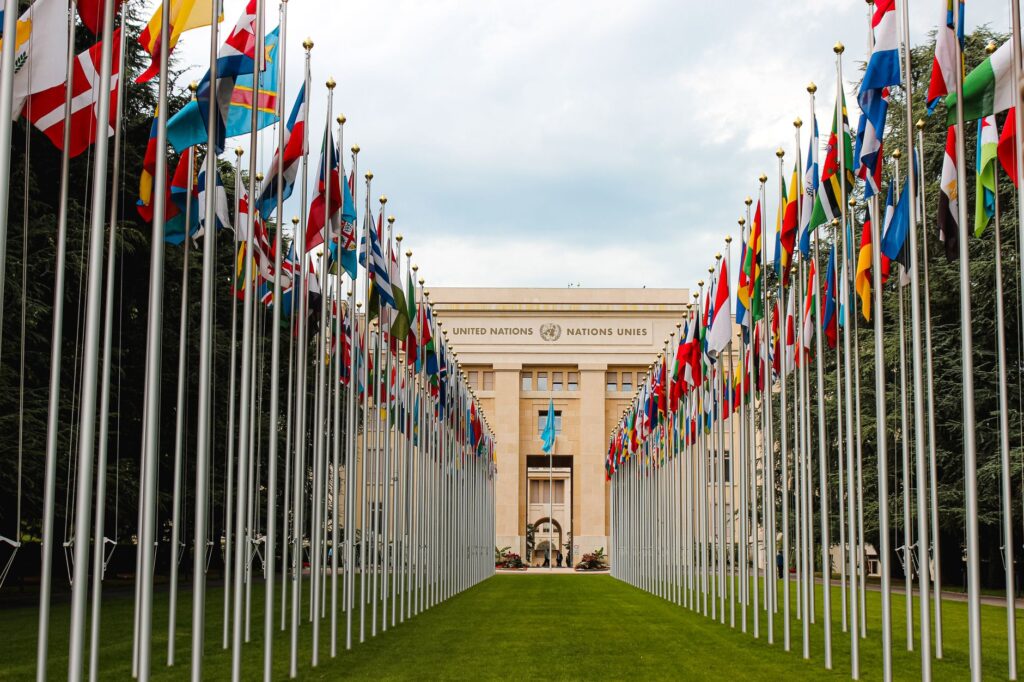 NATO Summit Convenes in Turkey Amid Transatlantic Policy Friction