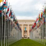 NATO Summit Convenes in Turkey Amid Transatlantic Policy Friction