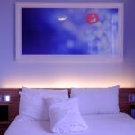 Pilot Files Lawsuit Against Marriott Following Denver Hotel Bat Infestation