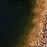 Surge in Shark Activity Prompts Heightened Vigilance at U.S. Beaches