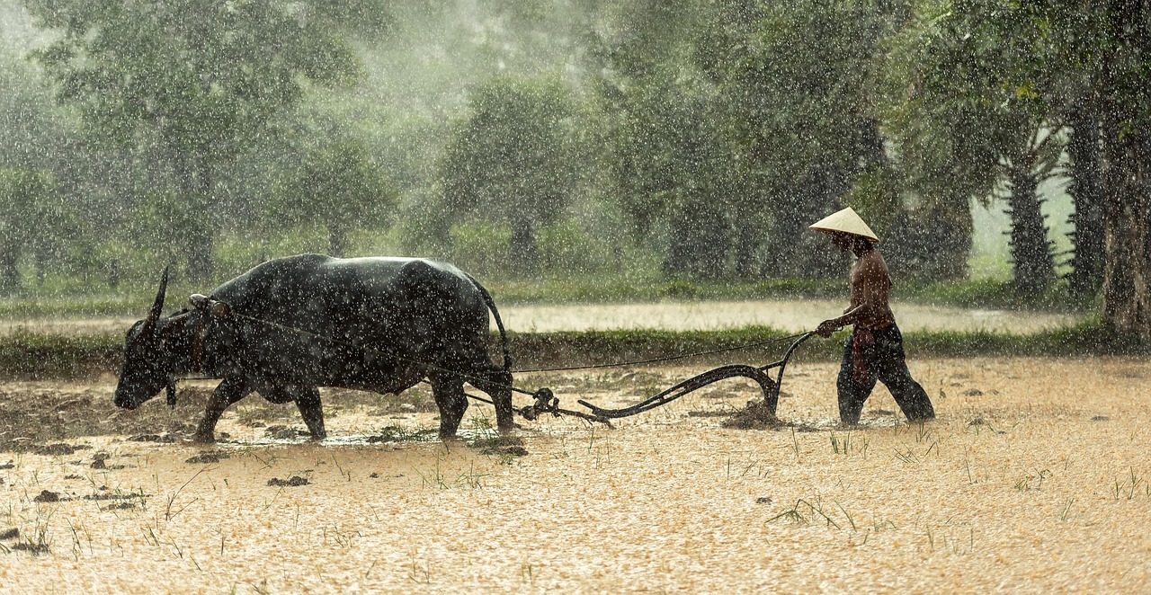 Telangana Disburses ₹6,590 Crore in Rythu Bharosa Aid to Farmers