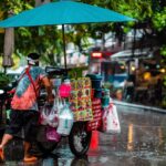 The Culinary Evolution of North Bengaluru: From Traditional Carts to Modern Flavors