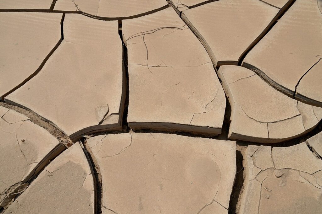 The Economic Shadow of El Niño: Assessing Risks to India's Growth