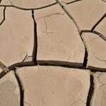 The Economic Shadow of El Niño: Assessing Risks to India's Growth