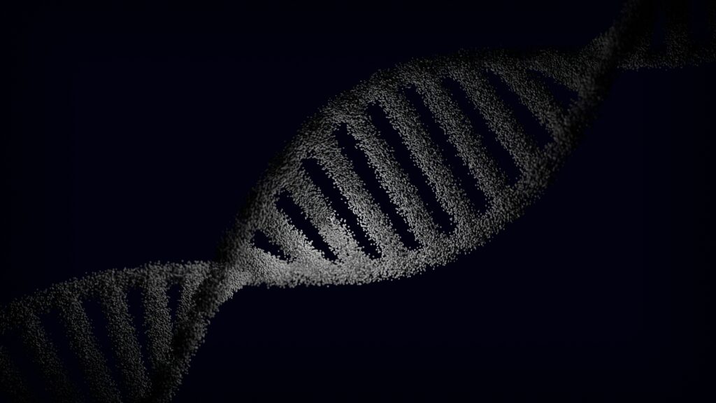 The Genetic and Environmental Blueprint of Human Stature