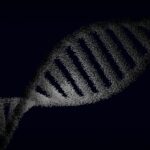 The Genetic and Environmental Blueprint of Human Stature