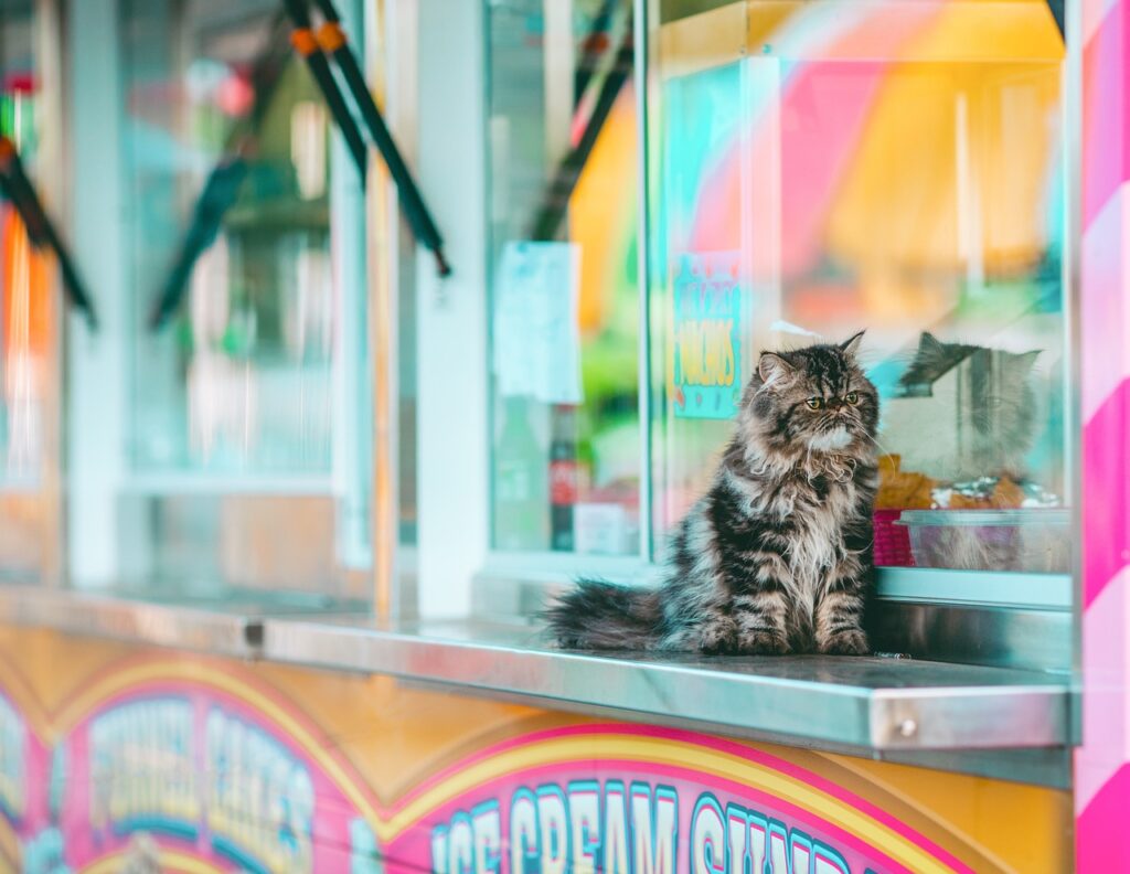 The Great American State Fair: A New Tradition in the Nation's Capital