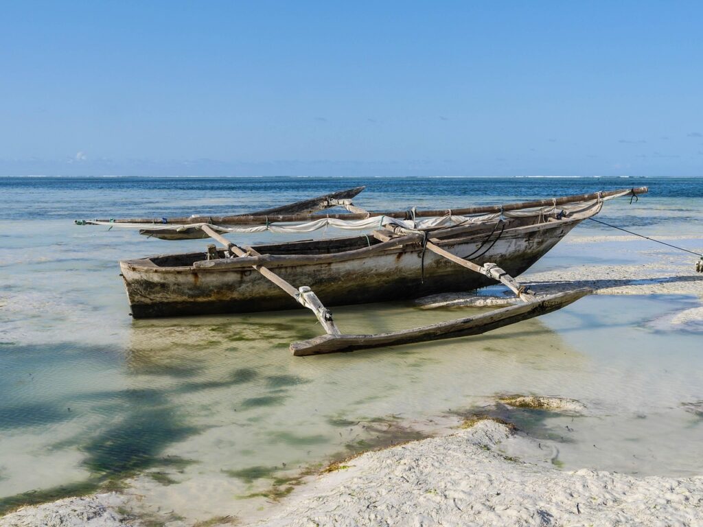 The Hidden Erosion of India's Marine Fisheries: Beyond Official Sustainability Claims