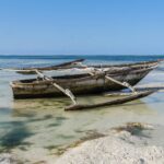 The Hidden Erosion of India's Marine Fisheries: Beyond Official Sustainability Claims