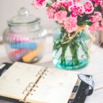 The Legal Status of Passports: Clarifying Citizenship vs. Travel Documentation