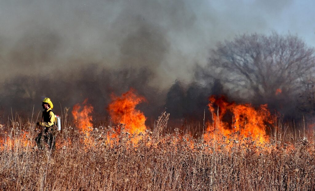 Wildfire Risks Force Western Towns to Cancel Fourth of July Fireworks
