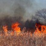 Wildfire Risks Force Western Towns to Cancel Fourth of July Fireworks