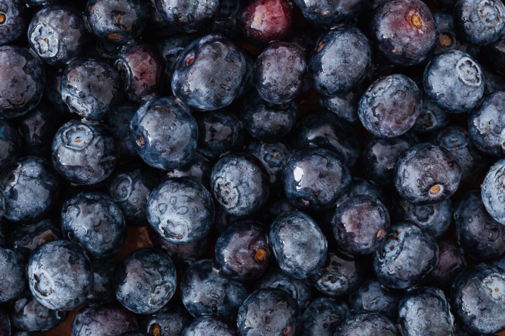 Canadian Food Inspection Agency Confirms No Impact from US Blueberry Recall