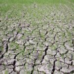 Cauvery Basin Faces Severe Water Strain Amid Deficient Monsoon Rains