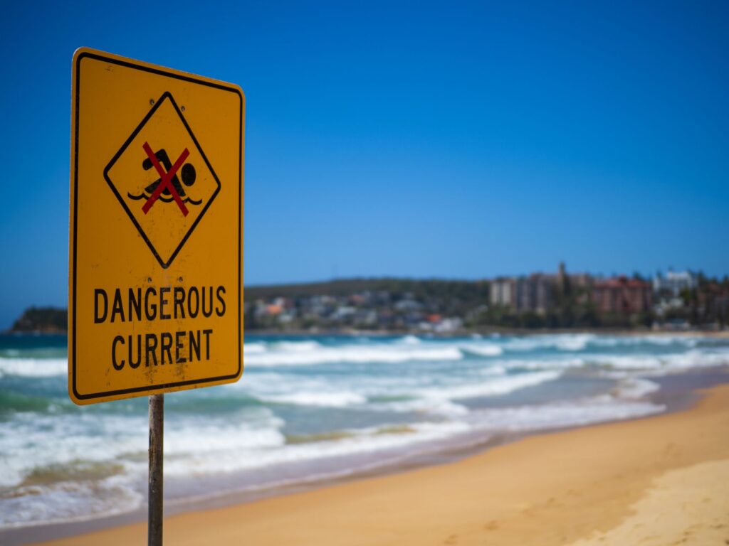 Coastal Mayor Issues Urgent Warning Over Dangerous Shark Social Media Trend