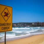 Coastal Mayor Issues Urgent Warning Over Dangerous Shark Social Media Trend