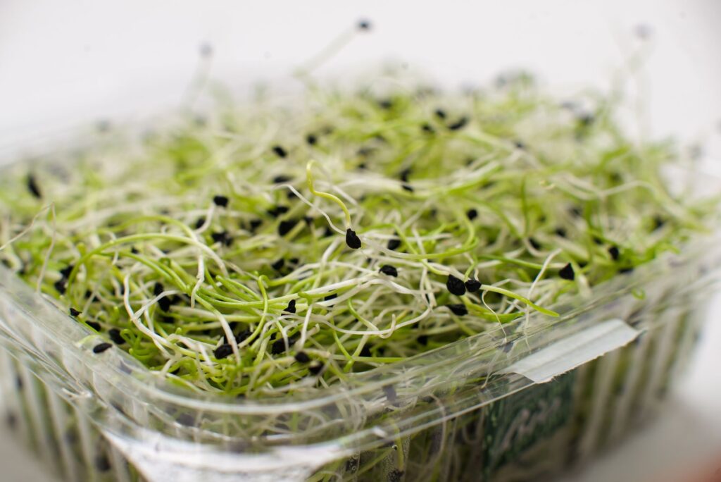 Federal Health Officials Investigate Alfalfa Sprout-Linked Illnesses Across Multiple States